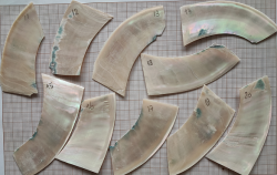 Lot 10 plaques nacre burgo TRES grandes plaques, 1 mm, 75 g