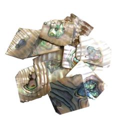 Nacre verte abalone en 2 mm au poids plaques standard, 50 gr (~75 cm2)