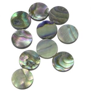 Pastille(s) abalone diamtre 10 les 10 pices