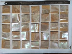 Lot 35 plaques nacre burgo 30x30 mm env, 1 mm p, 100 g