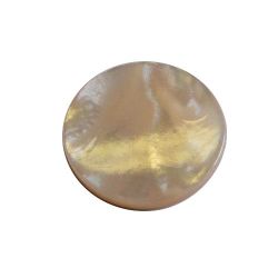 Grosse(s) pastille(s) nacre, diam 24 mm, epaisseur 3 mm, polie