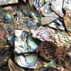 Blue MOP (Paua) scraps, 0.8 to 2mm thick, 50g