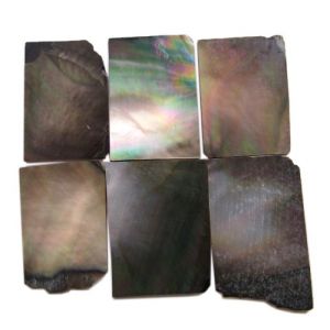Plaques de nacre noire ~30x20mm, �paisseur 1 mm, 6 pi�ces (~35cm2)