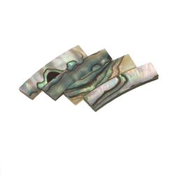Rosace abalone standard véritable,diam 120 mm larg 5 mm, ép 1,5 mm