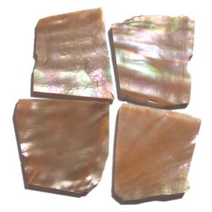 Plaques de nacre rose ~30x30mm, �paisseur 2 mm, 4 pi�ces (~35cm2)