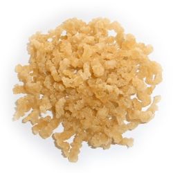 Natural bone glue 60 gr