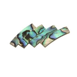 Rosace paua véritable,diam 120 mm larg 5 mm, ép 1,5 mm