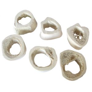 Raw bone pieces, bleached and degreased 30 mm high, 6 pcs