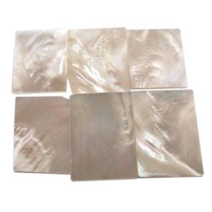 Plaques de nacre blanche ~30x20mm, �paisseur 1 mm, 6 pi�ces (~35cm2)