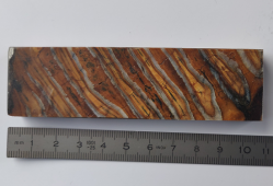 Molaire de mammouth environ105x30x11 mm
