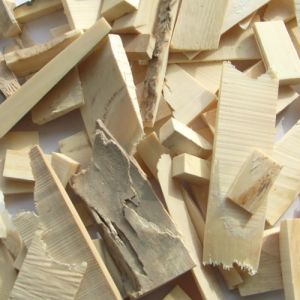 Os de mammouth la brute