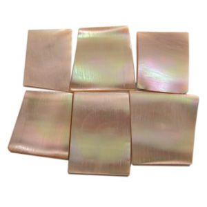 Plaques de nacre burgau ~30x20mm, �paisseur 1 mm, 6 pi�ces (~35cm2)