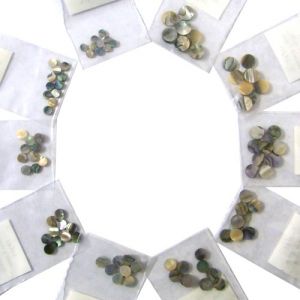10 bags of 10 abalone dots=100, gradual sizes from 4.5mm to 9mm diameter
