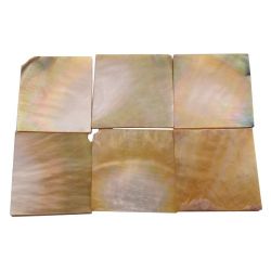 Plaques de nacre jaune ~30x30mm, épaisseur 1mm, 6 pièces (~50cm2)