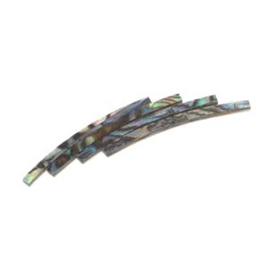 Rosace paua reconstitue, diam 115 mm, larg 5 mm, p 1,5 mm