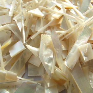 White MOP scraps, 0.8 to 2mm thick, 50g