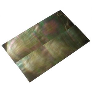 Ebauches en nacre noire 50x20x2mm, la paire