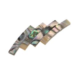 Ovale abalone standard véritable, 108x80 mm larg 3,5 mm, ép 1,5 mm