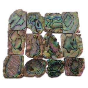 Plaques de nacre bleue (Paua) ~20x20mm, �paisseur 1 mm, 12 pi�ces (~50cm2)