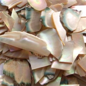 Burgau MOP scraps, 0.8 to 2mm thick, 50g