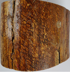 Ivoire de mammouth, 1.600kg, diam120 mm env, hauteur 100 mm