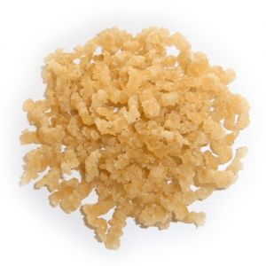 Natural fish glue 60 gr