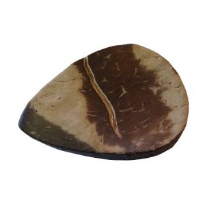 M�diator(s) en noix de coco, la pi�ce