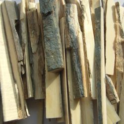 Os de mammouth la brute