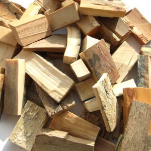 Os de mammouth la brute