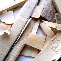 Mammoth ivory scraps