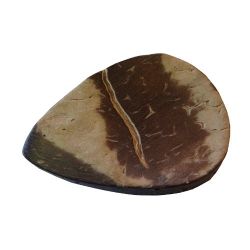 M�diator(s) en noix de coco, la pi�ce